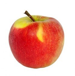 Apfel "Elstar"