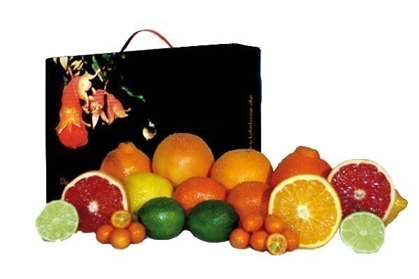 Vitamin C Angebot-Powerbox Größe L