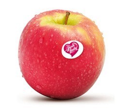 Apfel "Pink Lady"