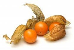 Physalis (Kap-Stachelbeere)