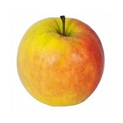 Apfel "Cox Orange"